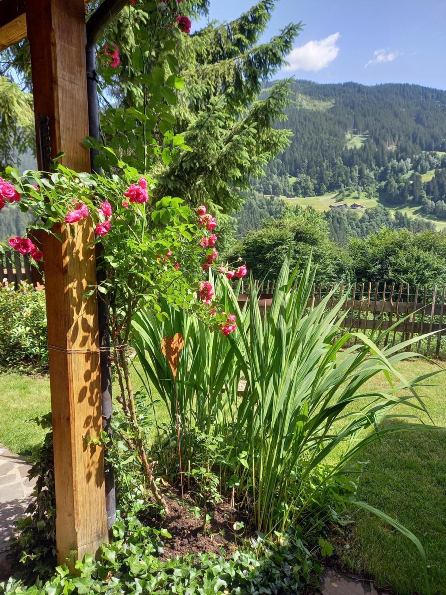 Aparthaus Am Walde & Appartement Sonnenseite Bartholomäberg Zewnętrze zdjęcie